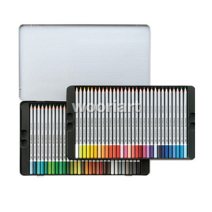 스테들러  전문수채색연필 60색 125 M60